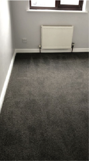 Stylish Carpet Solutions